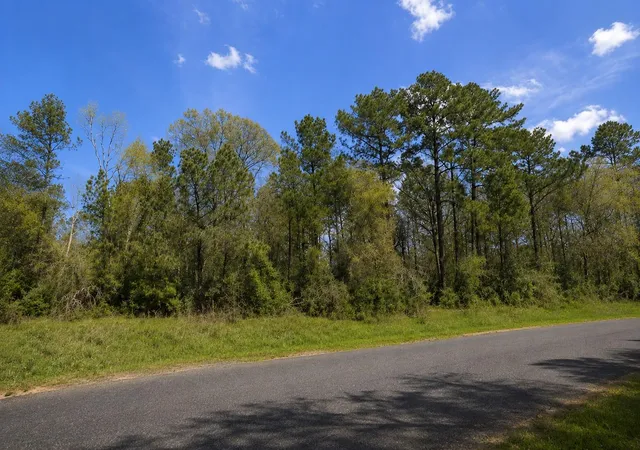 3rd image of 178 Rustic Ranch Dr, New Waverly, TX 77340 | MLS# 74598112