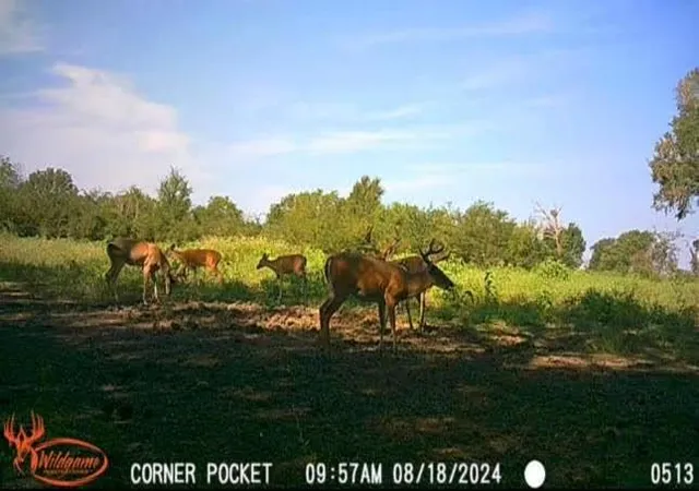 3rd image of Tbd Pr 1350, Centerville, TX 75833 | MLS# 82641176