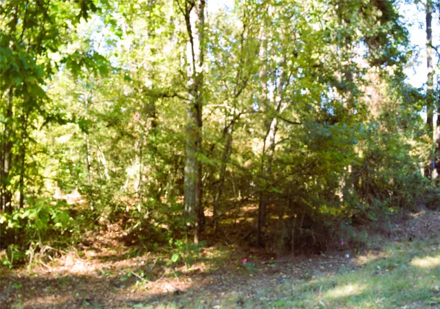 Photo 2 of Land for sale at 00 Forester, Livingston, TX 77351 | MLS# 17647975 | Listing updated on 2026-06-23