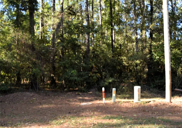 Photo 3 of Land for sale at 00 Forester, Livingston, TX 77351 | MLS# 17647975 | Listing updated on 2026-06-23