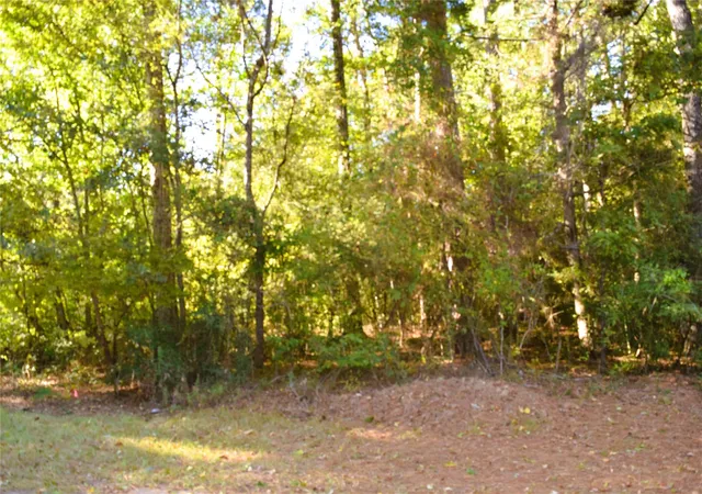 Photo 3 of Land for sale at 00 Forester, Livingston, TX 77351 | MLS# 17647975 | Listing updated on 2026-06-23