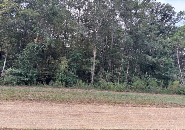 Land for sale at 15223 Forest Grove Dr, Willis, TX 77378 | MLS# 93786468