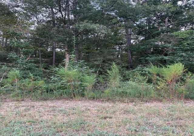 Photo 2 of Land for sale at 15223 Forest Grove Dr, Willis, TX 77378 | MLS# 93786468 | Listing updated on 2026-09-12