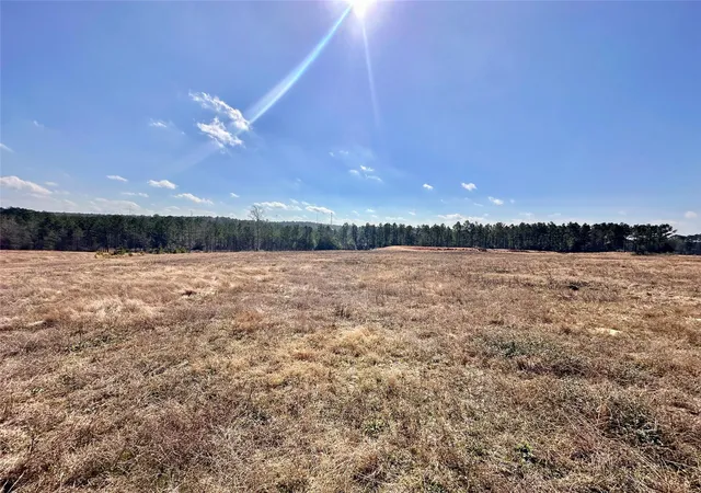 Photo 2 of Land for sale at 0 Stillwater Dr, Livingston, TX 77351 | MLS# 64731600 | Listing updated on 2026-09-02