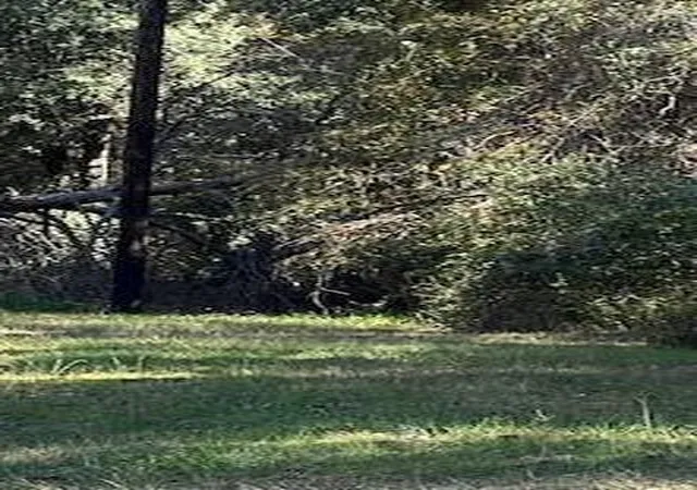 Photo 1 of Land for sale at Lot 24 Clark Rd, Plantersville, TX 77363 | MLS# 46094825 | Listing updated on 2025-12-31