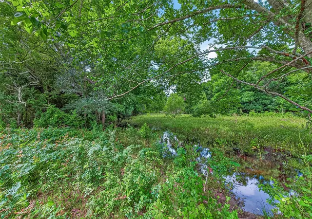43rd image of 0 Cr 117, Wharton, TX 77488 | MLS# 35570975
