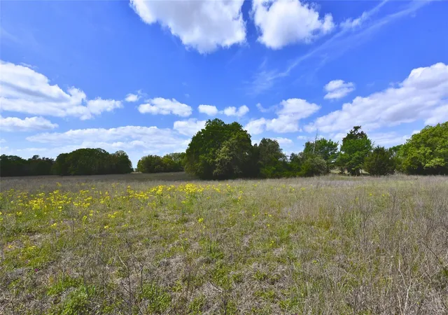 Photo 4 of Land for sale at Tbd Legacy Rd 5 Acres, Caldwell, TX 77836 | MLS# 14565022 | Listing updated on 2026-05-15