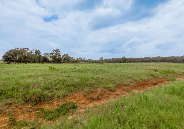 Photo 3 of Land for sale at 51 Northview Trl, Crockett, TX 75835 | MLS# 27162332 | Listing updated on 2026-07-25