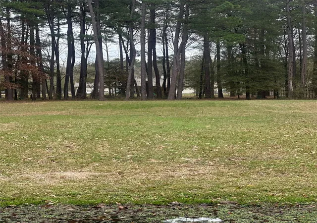 Photo 3 of Land for sale at 17107 Paluxy Ct, Splendora, TX 77372 | MLS# 8986872 | Listing updated on 2026-07-30