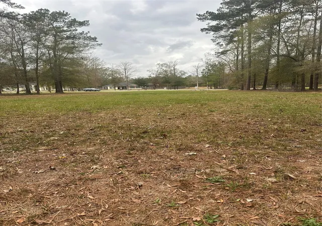 Photo 3 of Land for sale at 17107 Paluxy Ct, Splendora, TX 77372 | MLS# 8986872 | Listing updated on 2026-07-30