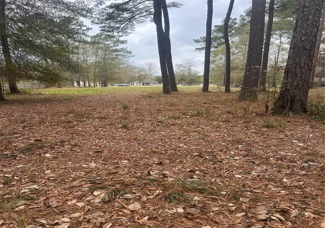 Photo 4 of Land for sale at 17107 Paluxy Ct, Splendora, TX 77372 | MLS# 8986872 | Listing updated on 2026-07-30