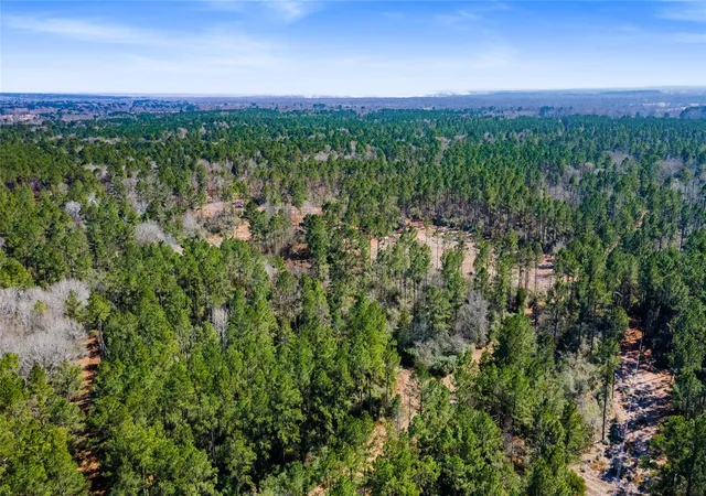 5th image of 0 Bo Brown, Trinity, TX 75862 | MLS# 76511444
