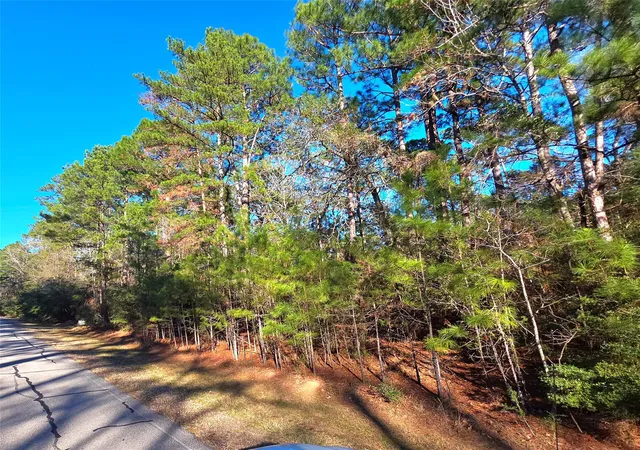 1st image of Tbd Waterwood Bay Rd, Marina Acc Rd, Huntsville, TX 77320 | MLS# 6864601