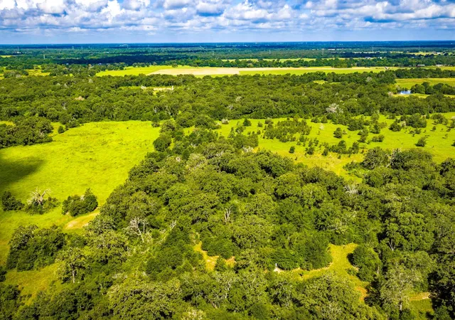 Photo 50 of Land for sale at 6559 Highway 21 W, Madisonville, TX 77864 | MLS# 11070200 | Listing updated on 2026-07-05