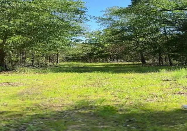 Photo 2 of Land for sale at 1943 Fm 489 E, Fairfield, TX 75840 | MLS# 28920266 | Listing updated on 2026-08-03