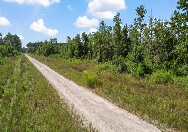 Photo 10 of Land for sale at Tbd County Road 2235, Cleveland, TX 77327 | MLS# 77816664 | Listing updated on 2026-08-22