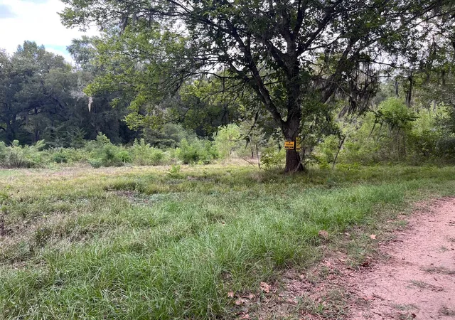 1st image of 0 N Francies, Shepherd, TX 77371 | MLS# 30167057