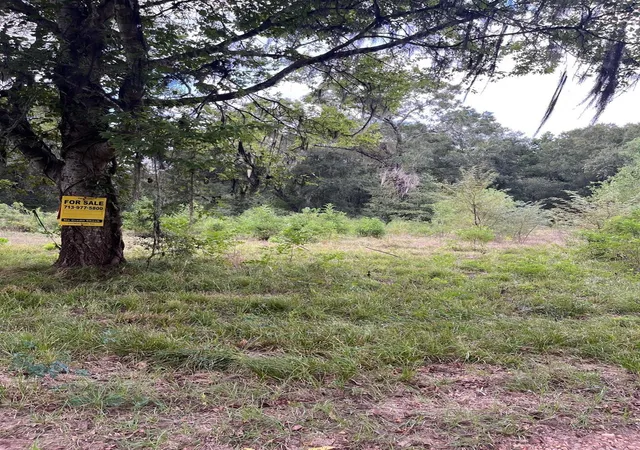 2nd image of 0 N Francies, Shepherd, TX 77371 | MLS# 30167057