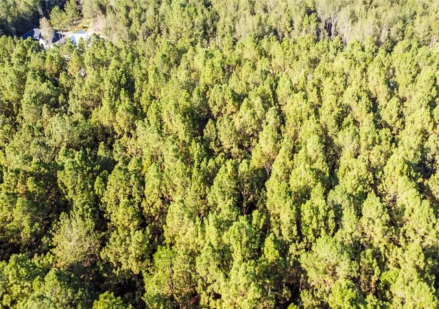 Photo 2 of Land for sale at 1878 Road 66116, Dayton, TX 77535 | MLS# 42420705 | Listing updated on 2026-07-30
