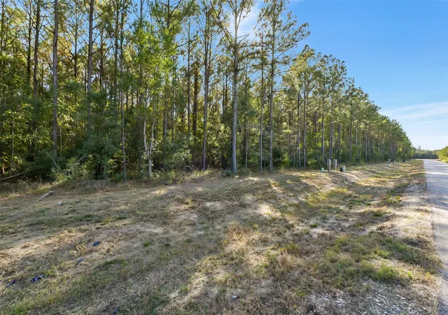 Photo 2 of Land for sale at 1878 Road 66116, Dayton, TX 77535 | MLS# 42420705 | Listing updated on 2026-07-30