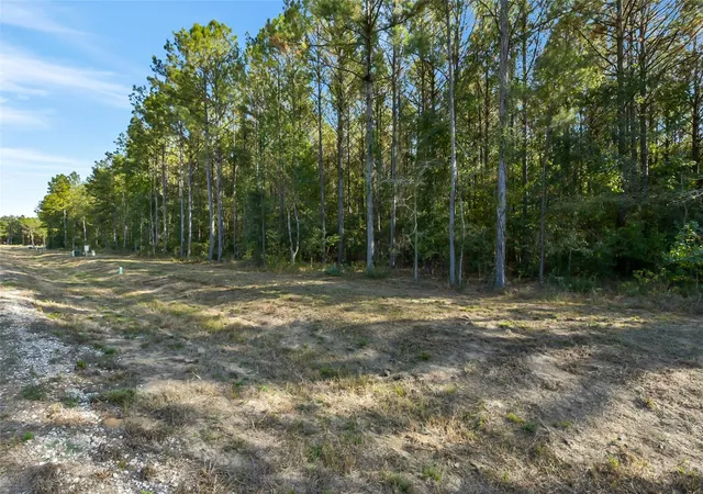 Photo 3 of Land for sale at 1878 Road 66116, Dayton, TX 77535 | MLS# 42420705 | Listing updated on 2026-07-30