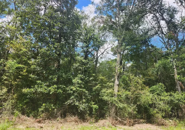 Photo 4 of Land for sale at 00 Idlewood Rdwy, New Caney, TX 77357 | MLS# 93945802 | Listing updated on 2026-03-30