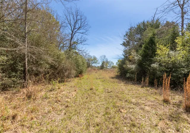 Homes for sale in Jewett, TX | 000 Pr 3891, Jewett, TX 75846 | MLS# 68627449