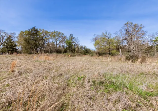 Homes for sale in Jewett, TX | 000 Pr 3891, Jewett, TX 75846 | MLS# 68627449