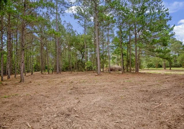 1st image of Tbd Lot 2 County Road 302, Navasota, TX 77868 | MLS# 17153903
