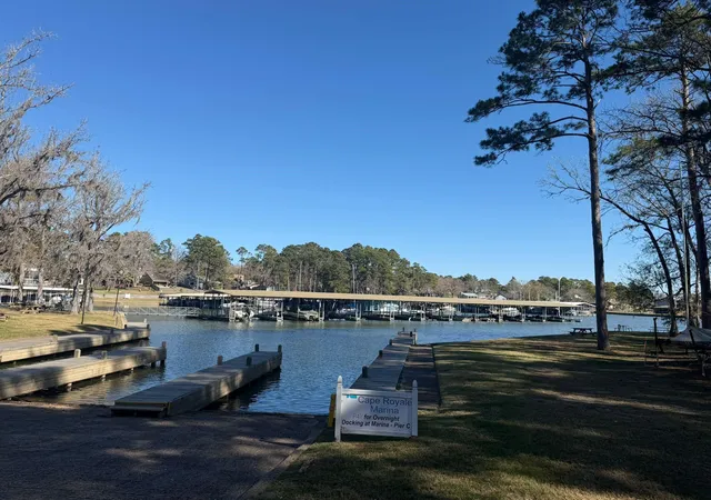 Photo 3 of Land for sale at 0 S Royale Greens Dr, Coldspring, TX 77331 | MLS# 54483029 | Listing updated on 2026-05-09