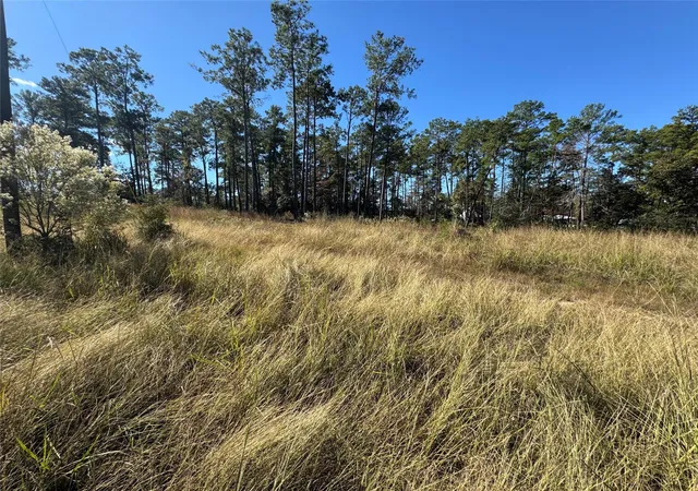 Homes for sale in Brookeland, TX | 064 Private Road 6026 Tract 1 64, Brookeland, TX 75931 | MLS# 81696277