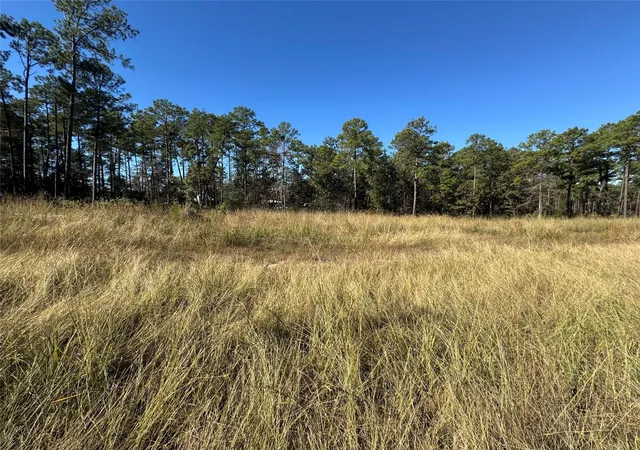 Homes for sale in Brookeland, TX | 064 Private Road 6026 Tract 1-64, Brookeland, TX 75931 | MLS# 81696277