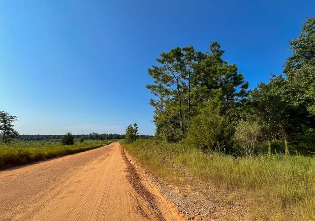 12th image of 00 Hwy 190, Woodville, TX 75979 | MLS# 49370753