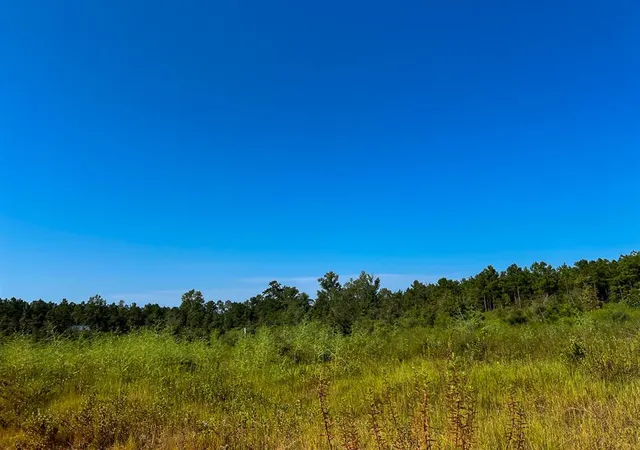 2nd image of 00 Hwy 190, Woodville, TX 75979 | MLS# 49370753