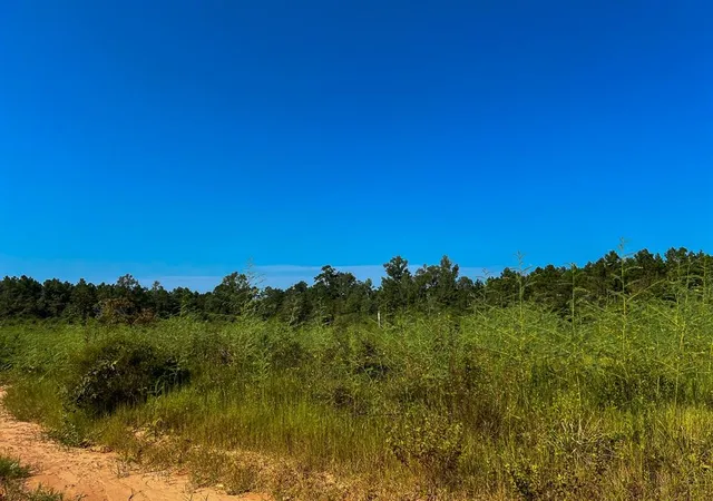3rd image of 00 Hwy 190, Woodville, TX 75979 | MLS# 49370753