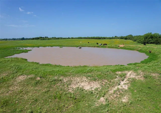 image of Tract 1 Cr 419, Bremond, TX 76629 | MLS# 94693494