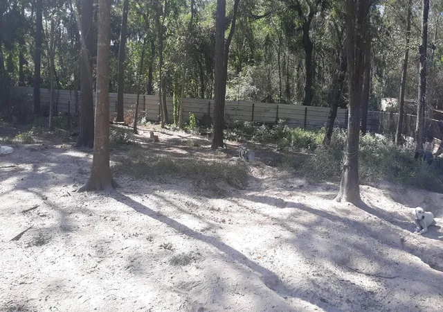 Photo 3 of Land for sale at 20916 Stevens St, New Caney, TX 77357 | MLS# 27629954 | Listing updated on 2026-08-31