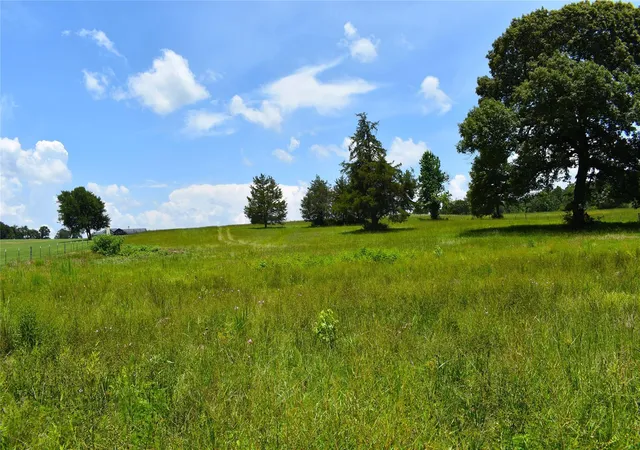 Homes for sale in Buffalo, TX | 8034 E County Road 212, Buffalo, TX 75831 | MLS# 31655349