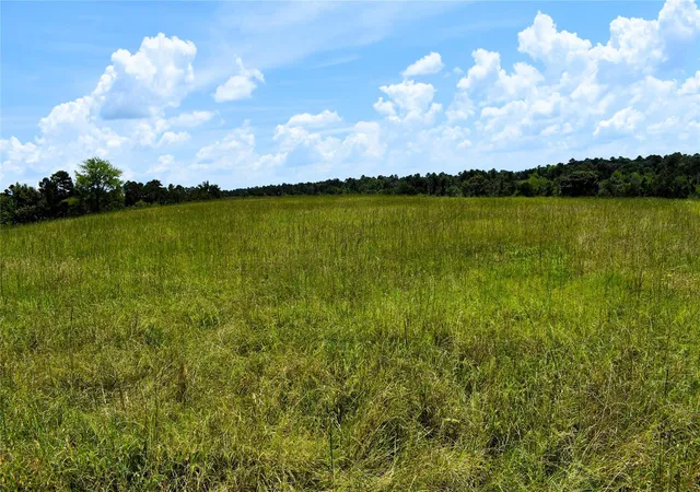 Homes for sale in Buffalo, TX | 8034 E County Road 212, Buffalo, TX 75831 | MLS# 31655349