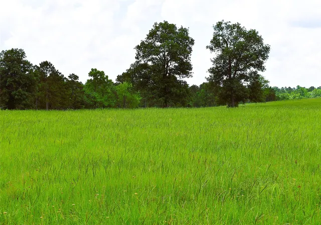 Homes for sale in Buffalo, TX | 8034 E County Road 212, Buffalo, TX 75831 | MLS# 31655349