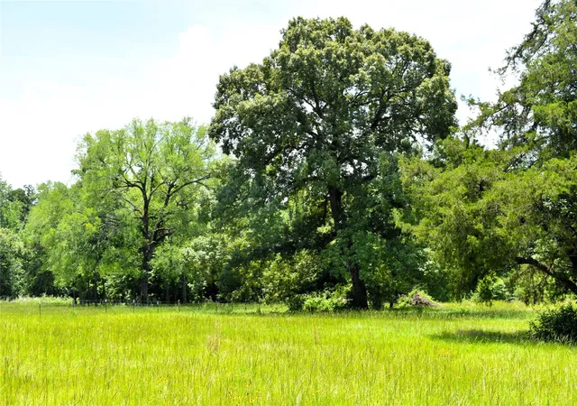 Homes for sale in Buffalo, TX | 8034 E County Road 212, Buffalo, TX 75831 | MLS# 31655349