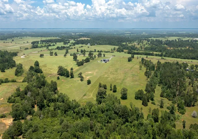 Homes for sale in Buffalo, TX | 8034 E County Road 212, Buffalo, TX 75831 | MLS# 31655349