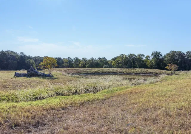 Photo 3 of Land for sale at Tract 4 Lcr 800, Groesbeck, TX 76642 | MLS# 18526664 | Listing updated on 2026-07-16