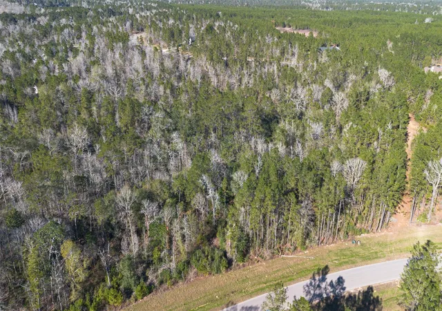 Photo 22 of Land for sale at 11623 Dawn Tree Ln, Willis, TX 77378 | MLS# 17512719 | Listing updated on 2026-08-12