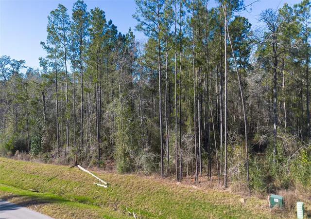 Photo 2 of Land for sale at 11623 Dawn Tree Ln, Willis, TX 77378 | MLS# 17512719 | Listing updated on 2026-08-12