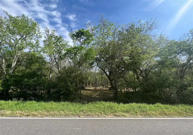 Photo 3 of Land for sale at 10186 County Rd 400, Brazoria, TX 77422 | MLS# 94031783 | Listing updated on 2025-11-07