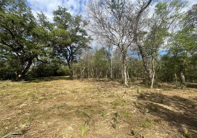 Photo 3 of Land for sale at 10186 County Rd 400, Brazoria, TX 77422 | MLS# 94031783 | Listing updated on 2025-11-07