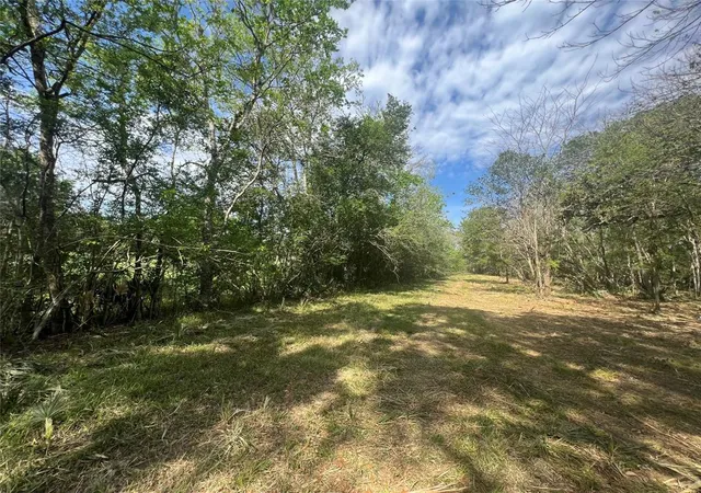 Photo 4 of Land for sale at 10186 County Rd 400, Brazoria, TX 77422 | MLS# 94031783 | Listing updated on 2025-11-07