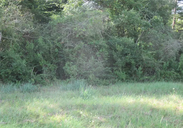 Photo 3 of Land for sale at Tbd Highway 190 E, Point Blank, TX 77364 | MLS# 58760420 | Listing updated on 2026-08-08