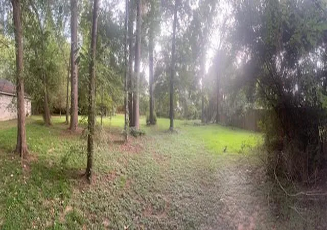 Photo 3 of Land for sale at 0 Woodland Manor, Willis, TX 77318 | MLS# 4652629 | Listing updated on 2026-09-03